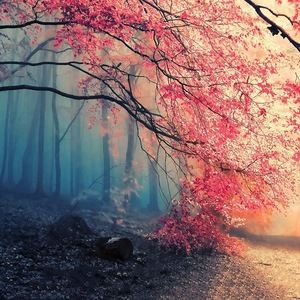 Meet your Posher, Anastasiya